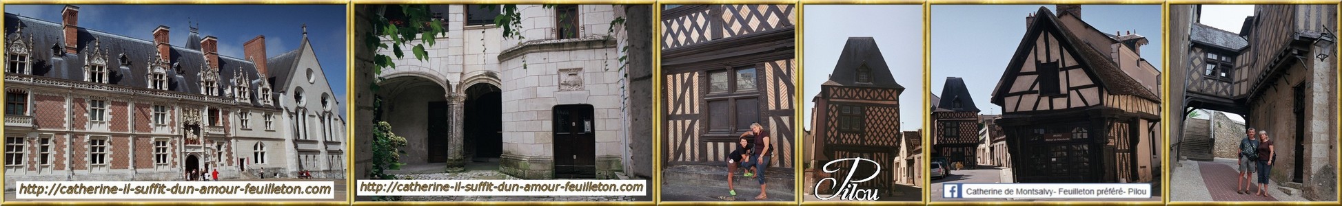catherine_11eme-anniversaire_lieux-de-tournage_centre_blois_maison-denis-papin