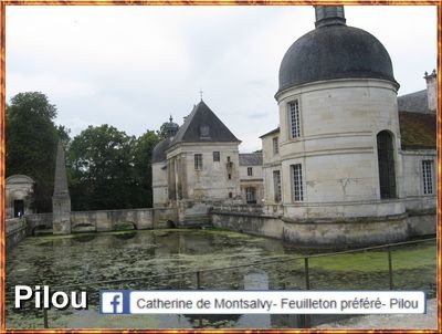 chateau-de-tanlay_fosse