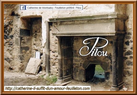 chateau-de-tournoel-en-auvergne-interieur-les-cheminees-lieu-de-tournage-du-feuilleton-catherine-de-marion-sarraut