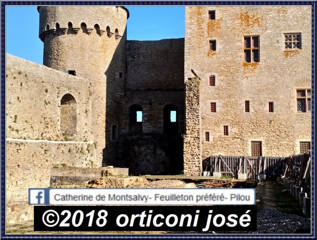 marianne-le-feuilleton_chateau-de-suscinio_cour