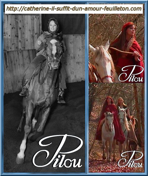 pascale-petit_cavaliere_catherine_marion-sarraut