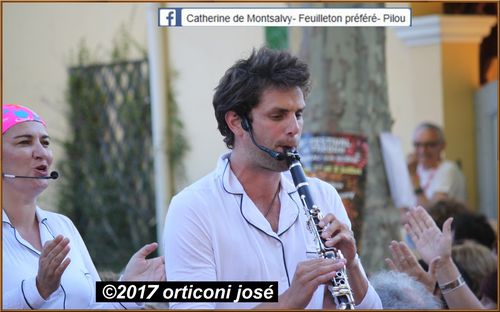 pierre-lecomte-gerard-chambre-representation-auribeau-2017
